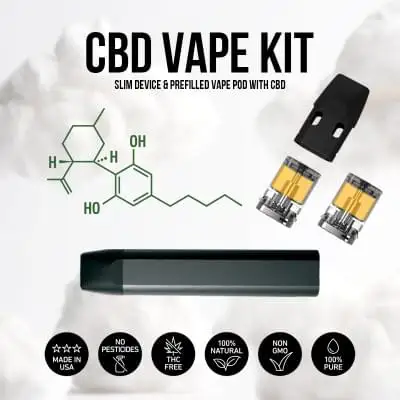CBD Vape Isolate Pod Kit - купити в Україні